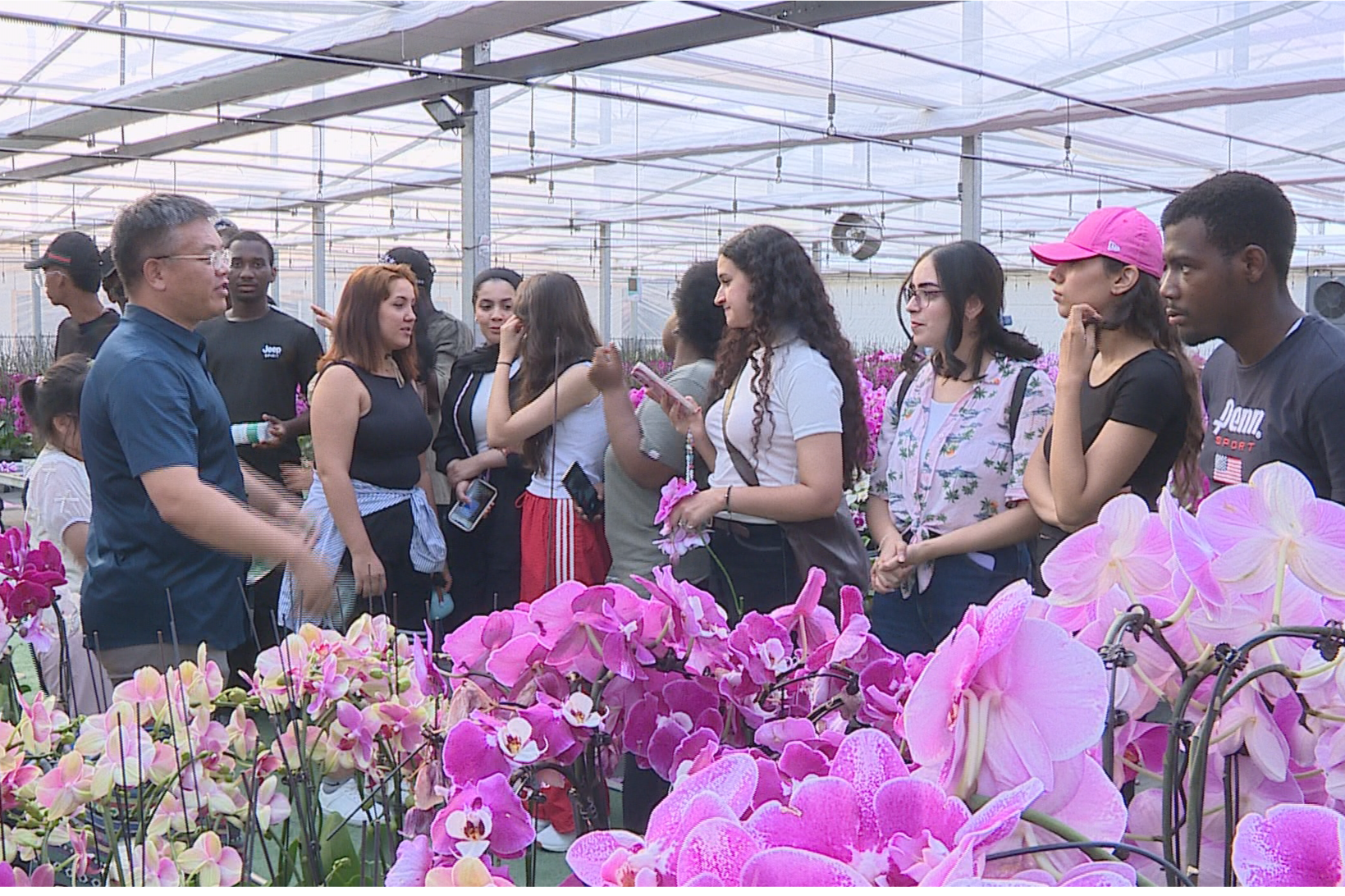 International students impressed by cultural heritage, social development of Qingzhou, Weifang 